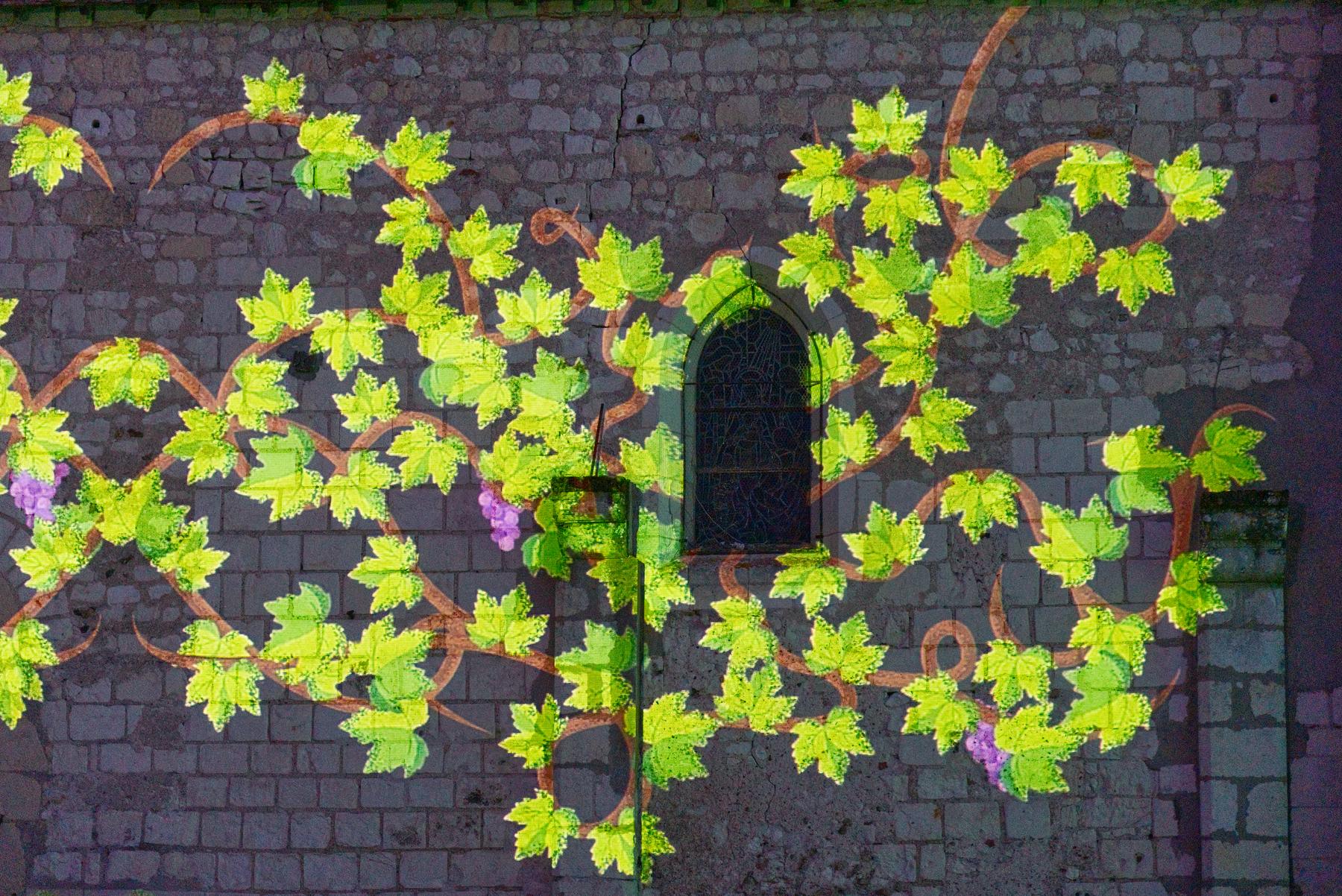 Pampres de vigne animés sur la façade